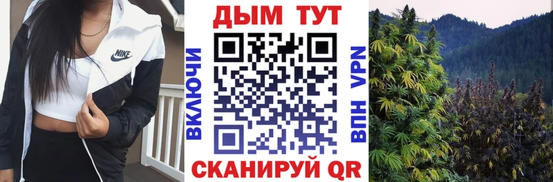 Марихуана White Widow  что такое наркотик  Буй 